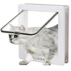 a cat with a mouse in it's mouth is shown through the door frame