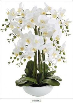 white orchids and greenery in a white bowl