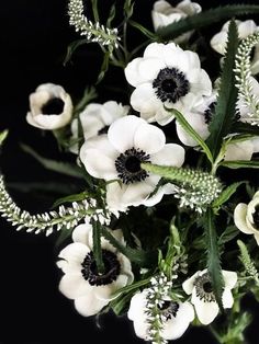 an arrangement of white and black flowers in a vase