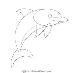 how to draw a dolphin step by step