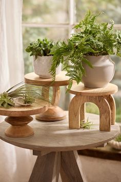 three potted plants sitting on top of small wooden stands in front of a window