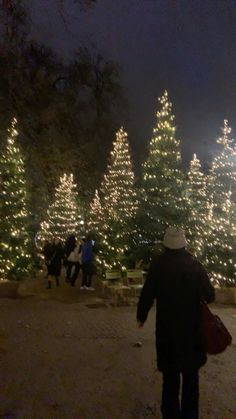 people are walking through the park with christmas lights on trees in the background at night