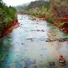 a river running through a forest filled with lots of green and red leaves on top of it