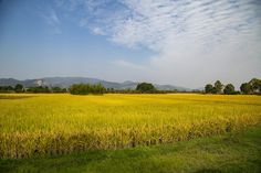 an empty field with mountains in the distance