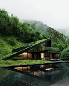 an unusual house with grass on the roof