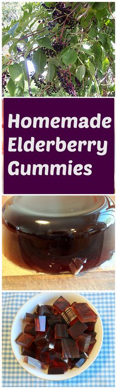 homemade elderberry gummies recipe on a plate