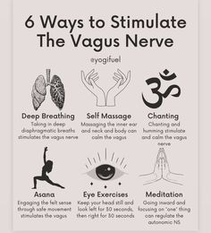 Vegas Nerve Exercises, Activate Vagus Nerve, Polyvagal Theory Exercises, Dorsal Vagal Shutdown, Stimulate Vagus Nerve, Vegas Nerve, Nervus Vagus, The Vagus Nerve, Nerve Health