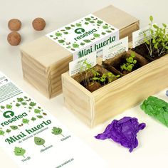 an assortment of seeding plants in wooden boxes on a table with instructions for growing them