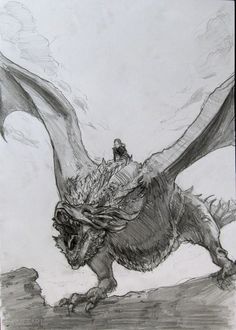 a drawing of a dragon with its wings spread