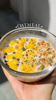 someone is holding a bowl of oatmeal with fruit and nuts in it