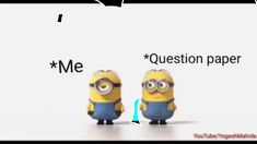 two minion figures with the words me and question paper below them on a white background