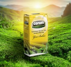 a carton of green tea sitting on top of a lush green field with mountains in the background