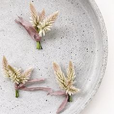 three dried flowers sitting on top of a white plate