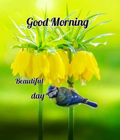 a blue bird sitting on top of a yellow flower with the words good morning beautiful day