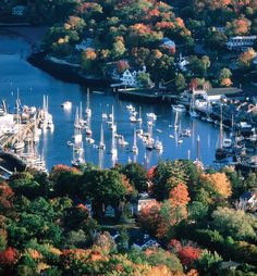 an aerial view of boats docked at a marina in the fall season with colorful trees surrounding them