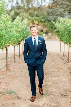 a man in a blue suit and tie is standing in the middle of an orchard