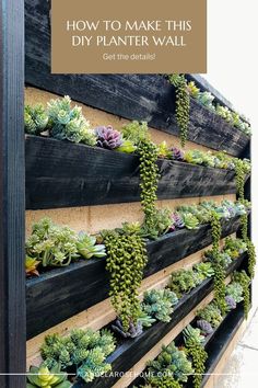 an outdoor planter with succulents growing on it and the text how to make this diy planter wall get the details