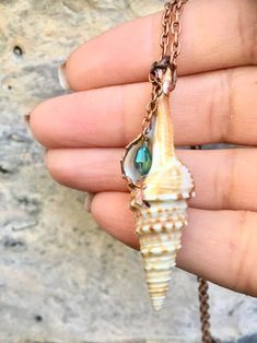 a hand holding a necklace with a sea shell on it