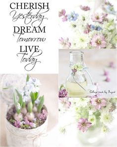 some flowers are in a vase and the words cherish today dream tomorrow live today