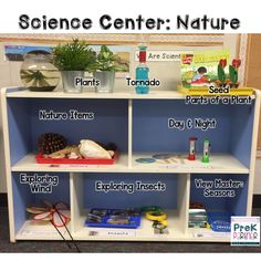 the science center nature display includes plants and books