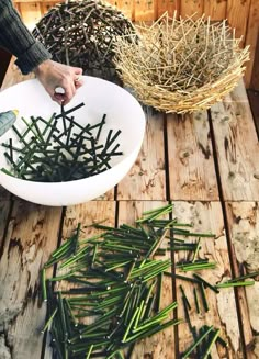 someone is holding a white bowl full of green beans on a wooden table next to some branches