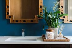 a bathroom sink with a mirror and plants on it in front of the counter top