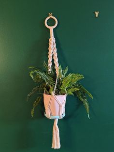 a potted plant hanging from a hook on a green wall with a white tassel