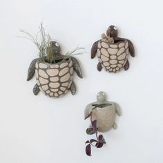 three ceramic turtle planters are hanging on the wall