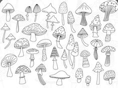 a bunch of mushrooms that are drawn in black and white, with the outlines for each