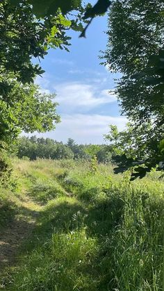 Green Field Aesthetic, Life In Paradise, Summer Fairy, Countryside House, Green Landscape, Pretty Photos, Nature Aesthetic, Pretty Places, Green Aesthetic