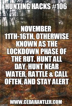 a forest filled with lots of trees covered in fall leaves and the words hunting hacks 106