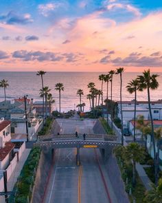 an aerial view of a street with palm trees and the ocean in the background at sunset