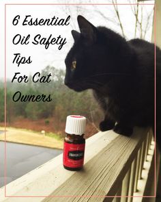 a black cat sitting on top of a window sill next to an orange bottle