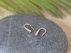 two small silver earrings sitting on top of a rock next to a palm tree branch