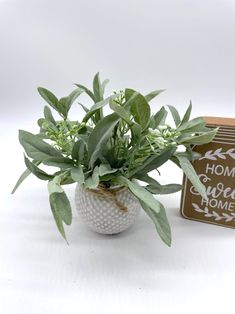 a potted plant sitting on top of a table next to a sign that says home sweet home