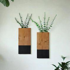 two wooden vases with plants in them on a wall next to a potted plant