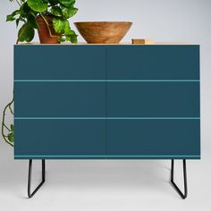 a green plant sitting on top of a blue cabinet next to a bowl and potted plant