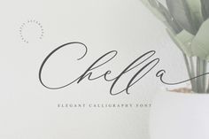 an elegant calligraphy font is displayed in a white vase