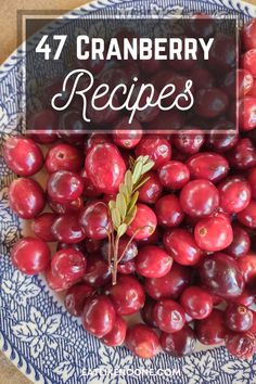 cranberry recipe with text overlay that reads, 47 cranberry recipes