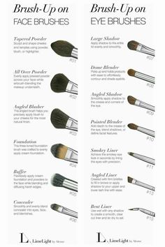 What Different Makeup Brushes Are For, How To Use Make Up Brushes, Make Up Brushes Guide How To Use, Brushes For Eye Makeup, Makeup Brushes And What They Are Used For, How To Use Makeup Brushes For Beginners, Make Up Brush Guide, Different Makeup Brushes And Their Uses, How To Use Eye Makeup Brushes