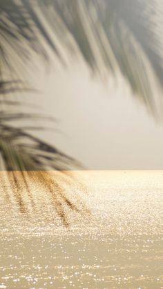 a bird is standing in the water near some palm trees