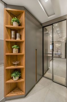 an office hallway with glass doors and wooden shelvings on the wall, potted plants in vases