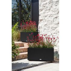 two black planters sitting on the side of a building with red flowers in them