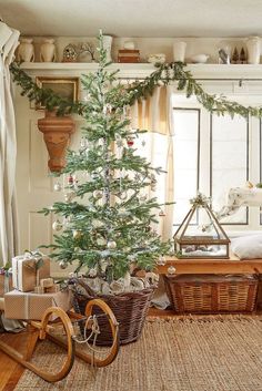 a small christmas tree in a basket next to a bicycle on the floor near a window