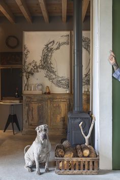 a dog sitting in front of a wood stove