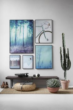 a living room filled with lots of pictures on the wall above a coffee table and potted cactus