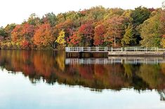 a bridge over a body of water surrounded by trees with fall foliage on the other side