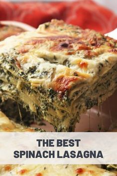 the best spinach lasagna recipe is made with fresh spinach and cheese