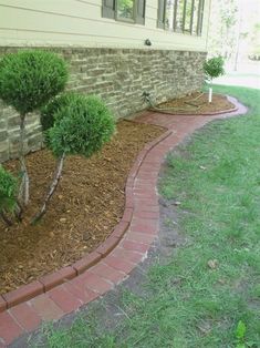 a small tree is growing in the corner of a brick garden bed near a house