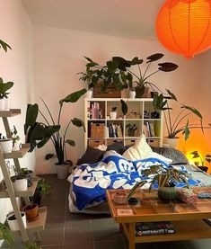 a living room filled with lots of potted plants next to a bookshelf